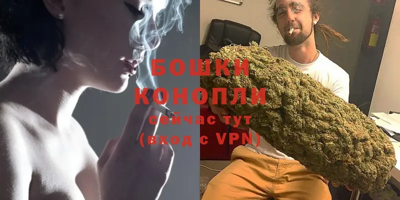 МАРИХУАНА Ganja  Дальнегорск 